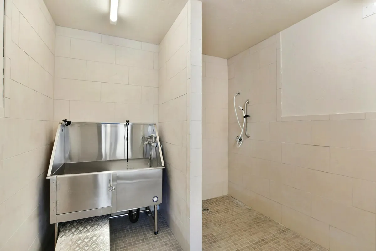 An interior space featuring a stainless steel sink and a spacious shower area, designed in a practical, utilitarian style. The setup is pet-friendly, allowing for easy clean-up and care after outdoor activities.